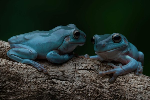 How Can You Mix a Monochrome Outfit with a Pop of Color for a Fashion-Forward Office Look?