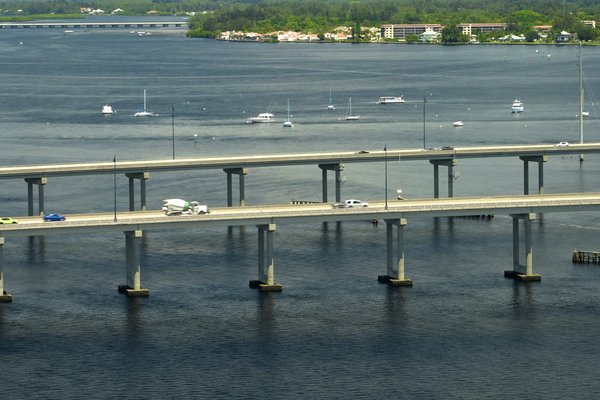 How to Choose the Right Type of Collar for a Dog with a Sensitive Neck?