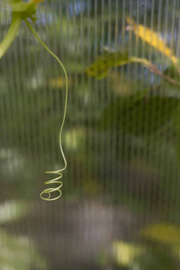 What's the Latest in Adaptive Clothing for People with Disabilities in the UK?